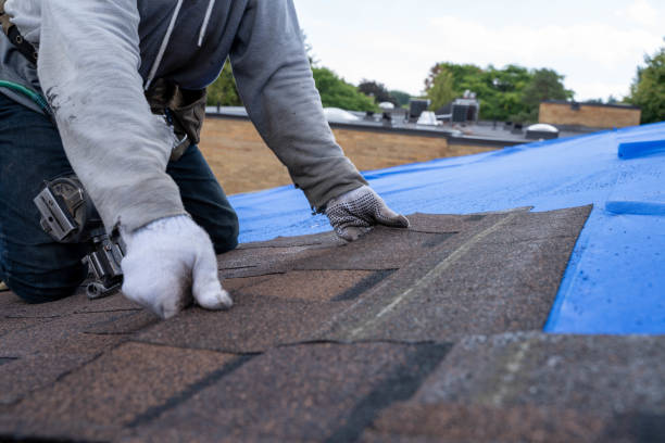 Best New Roof Installation  in Willard, OH