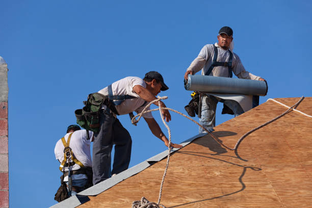 Best Roof Maintenance Services  in Willard, OH