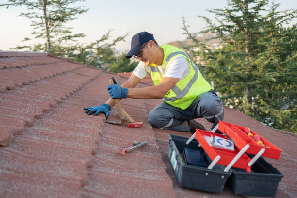 Best Roof Restoration Services  in Willard, OH