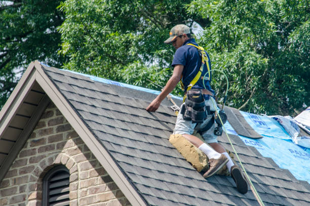 Professional Roofing Contractor in Willard, OH